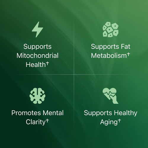 Vitoxen Cellular Energy Support