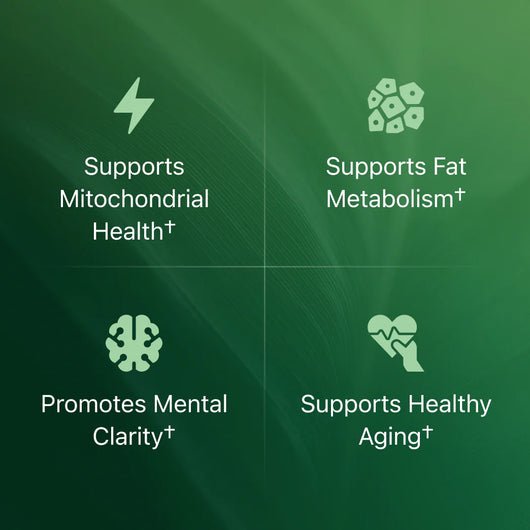 Vitoxen Cellular Energy Support